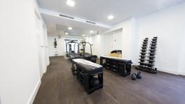 Imagen principal de la ficha